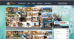 Desktop Screenshot of domainemlak.com