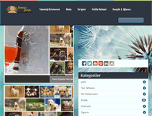 Tablet Screenshot of domainemlak.com